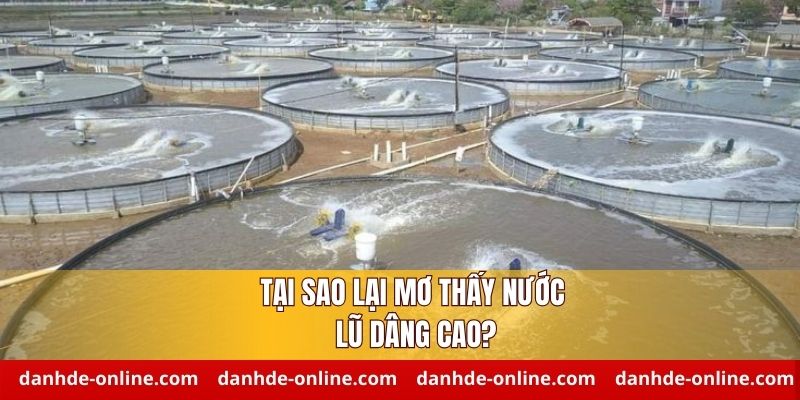 Giải mã lý do mơ thấy nước lũ dâng cao