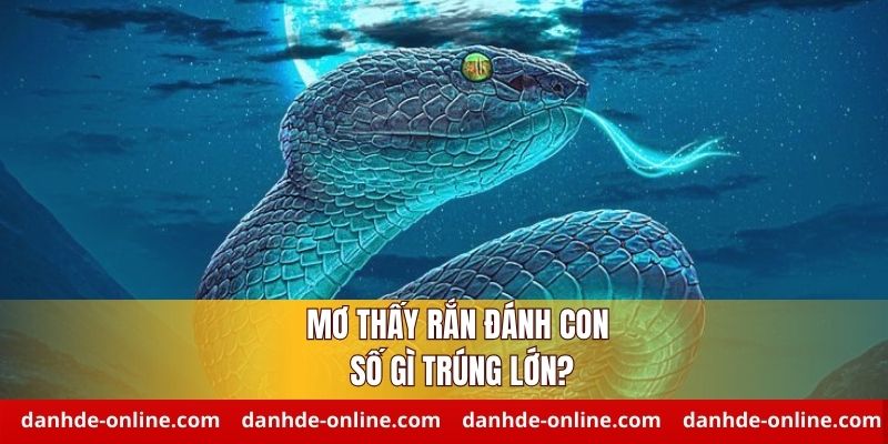 Mơ thấy rắn đánh con gì chuẩn nhất