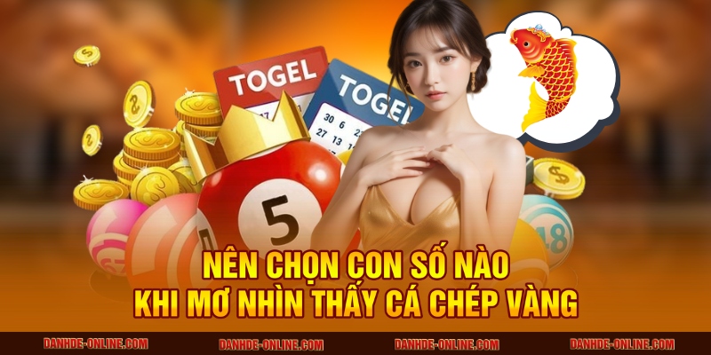 Nên chọn con số nào khi mơ nhìn thấy cá chép vàng