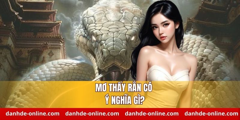Ý nghĩa của giấc mơ thấy rắn cần biết
