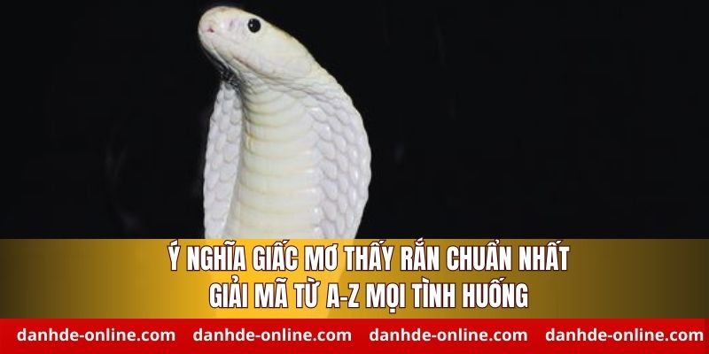 Mơ thấy rắn