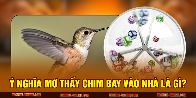Ý nghĩa mơ thấy chim bay vào nhà là gì?